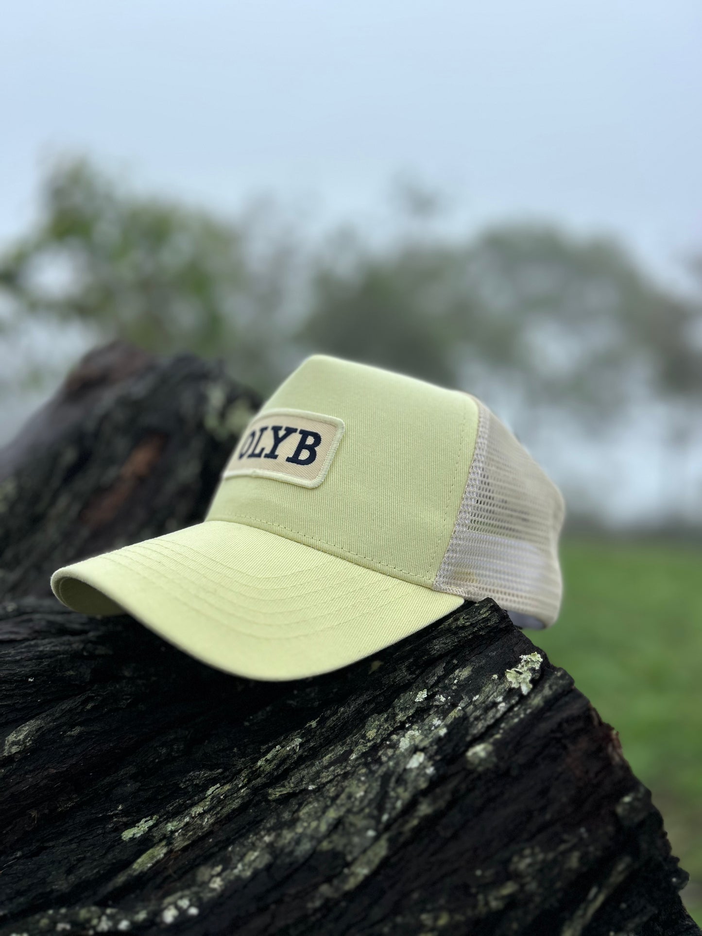 Lemon Craze Trucker Cap-Last Restock 🌟