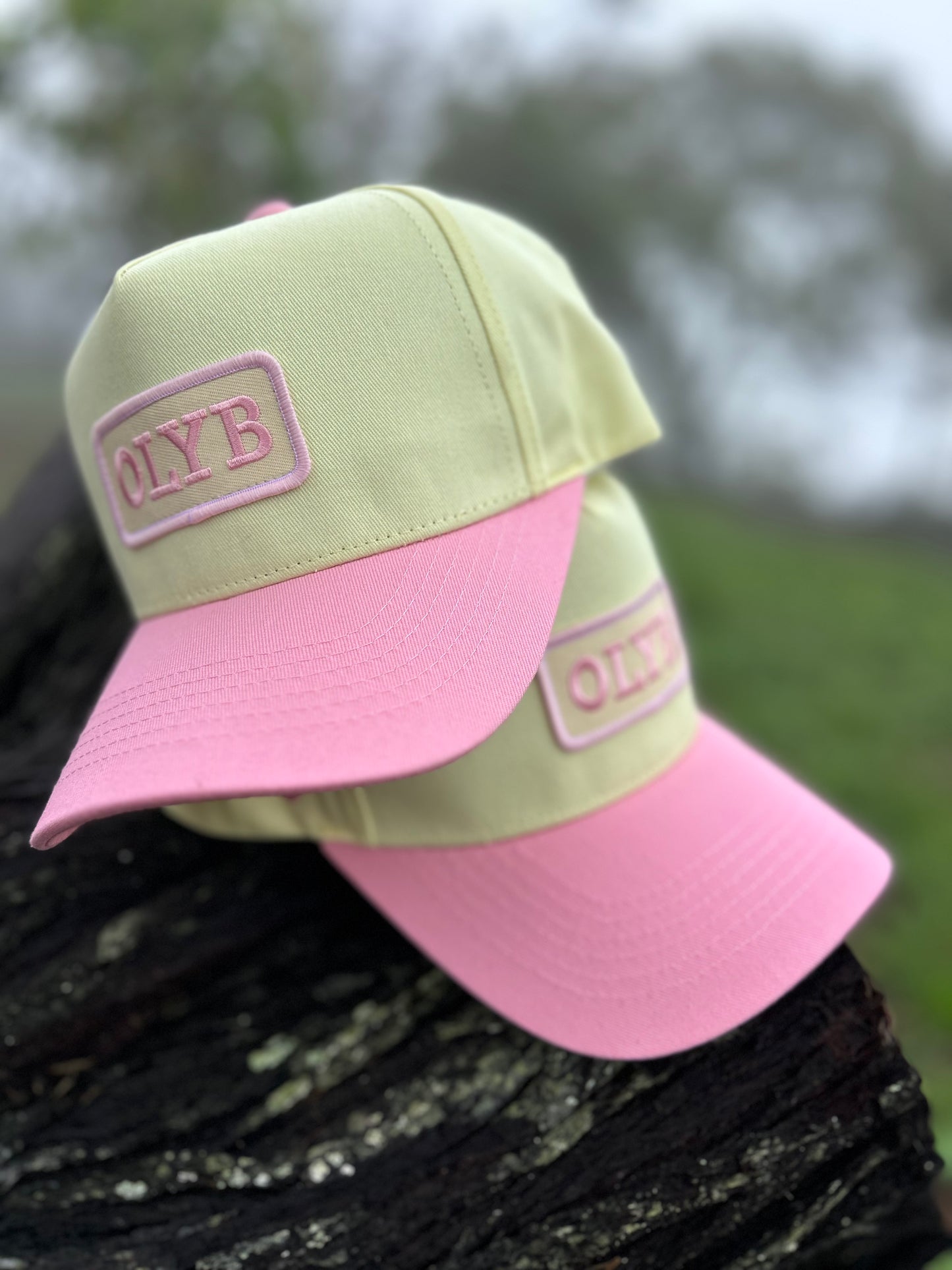 Strawberries and Butter Cream Baseball cap