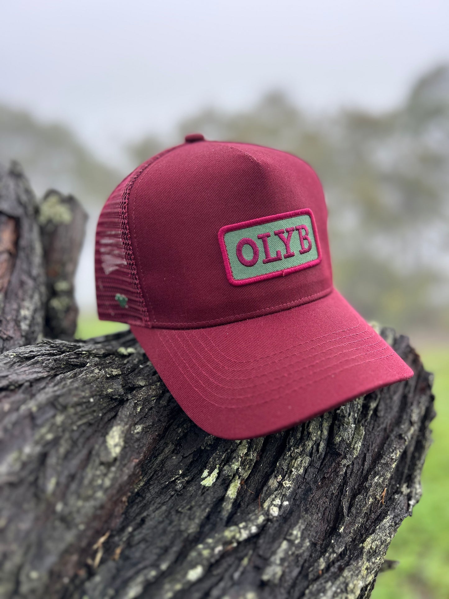 Cherry Craze Trucker Cap