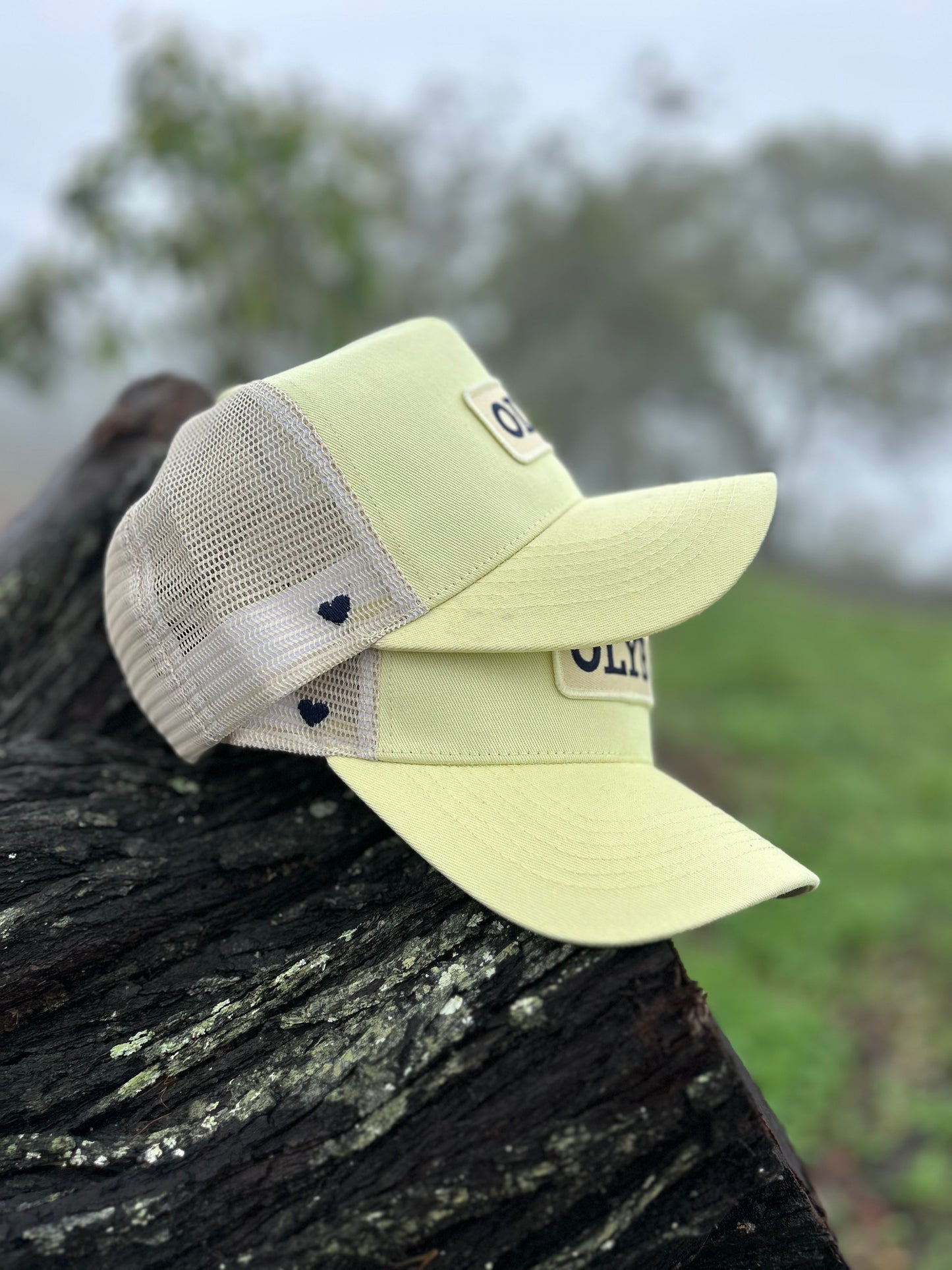 Lemon Craze Trucker Cap-Last Restock 🌟