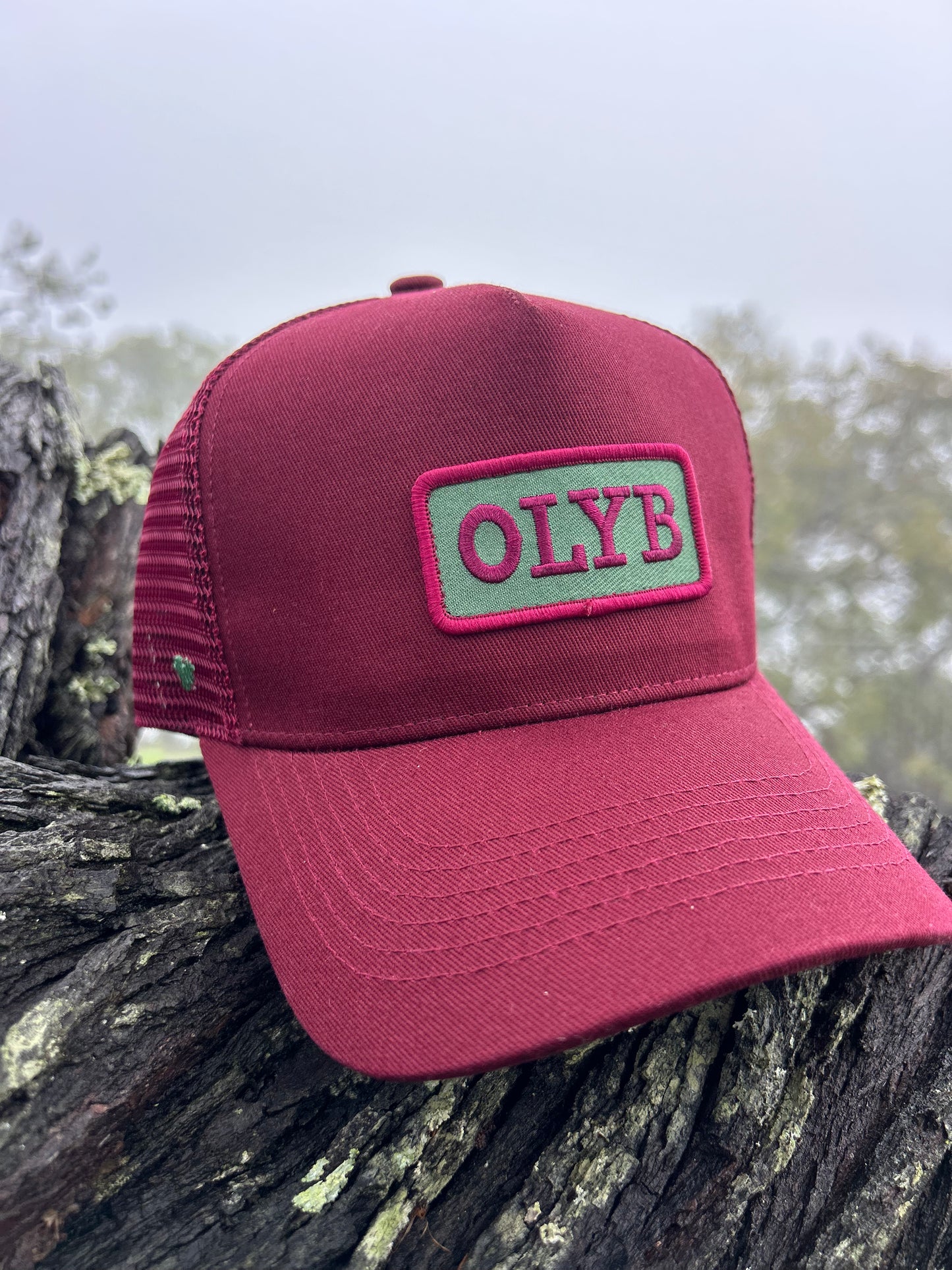 Cherry Craze Trucker Cap