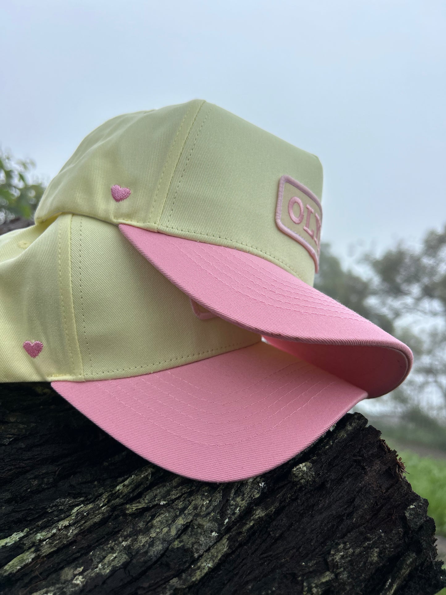 Strawberries and Butter Cream Baseball cap