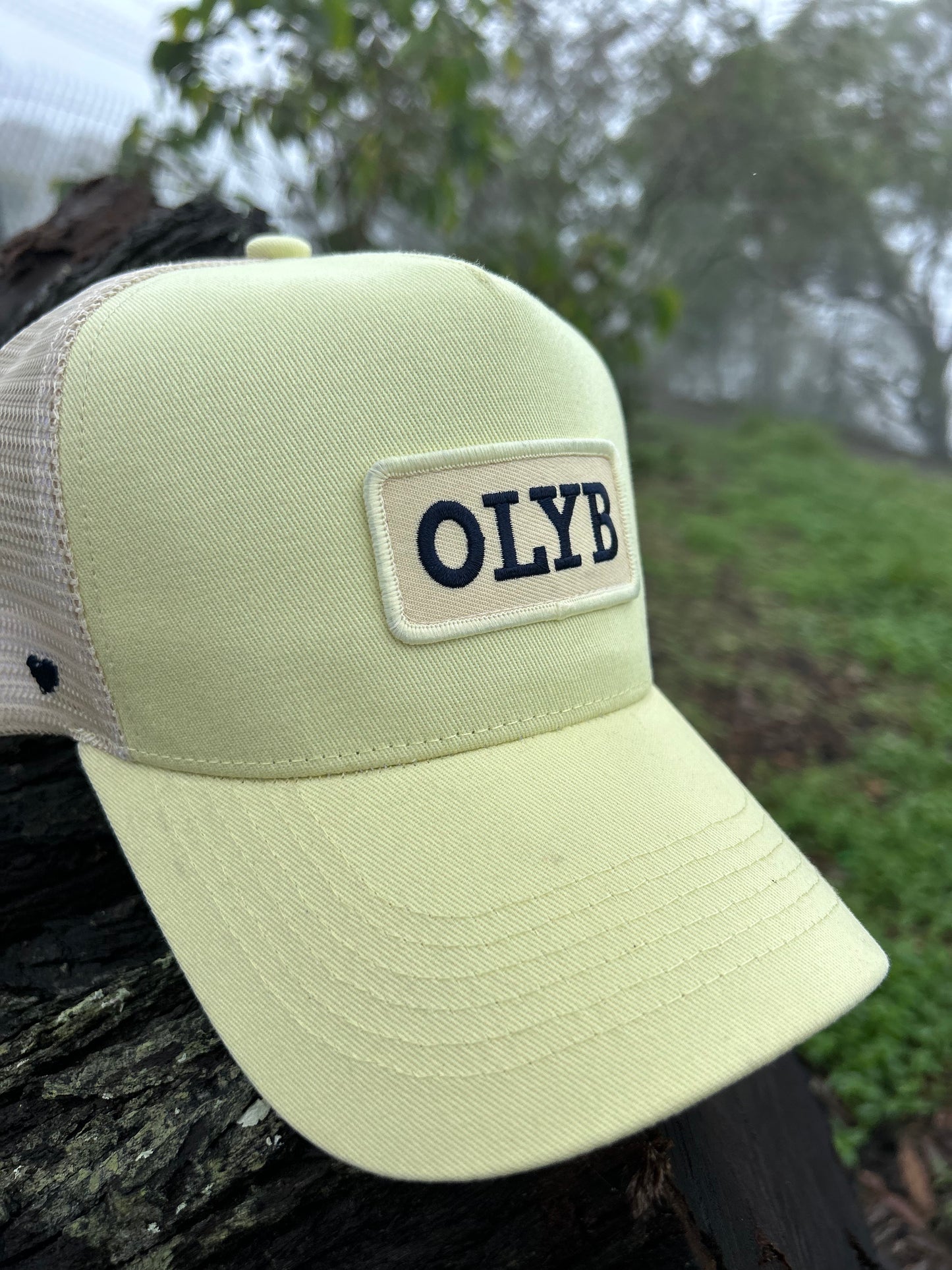 Lemon Craze Trucker Cap-Last Restock 🌟