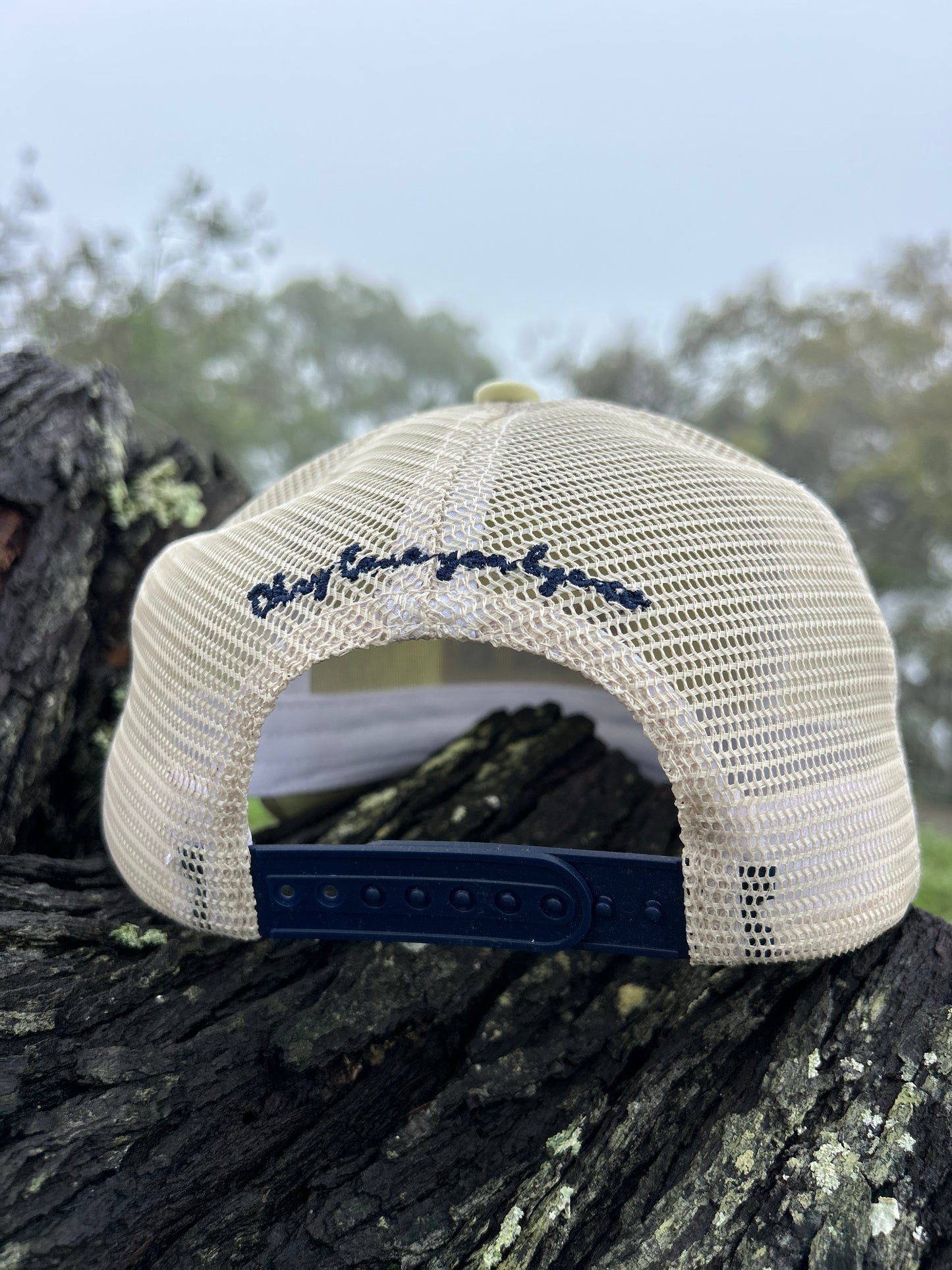 Lemon Craze Trucker Cap-Last Restock 🌟